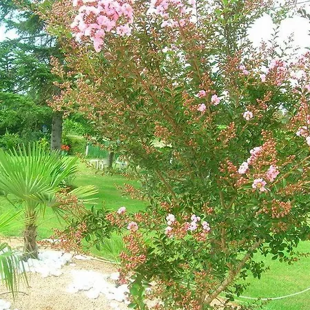 Bed & Breakfast Chambres D'hotes Vignoble Ocean La Brede