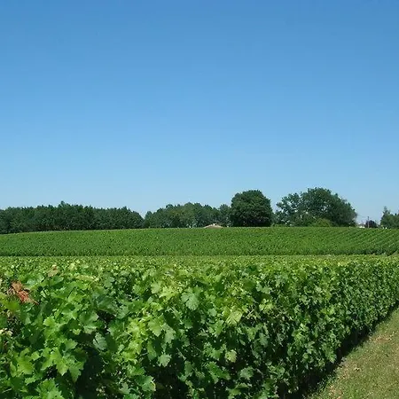 Chambres D'hotes Vignoble Ocean Bed & Breakfast La Brede